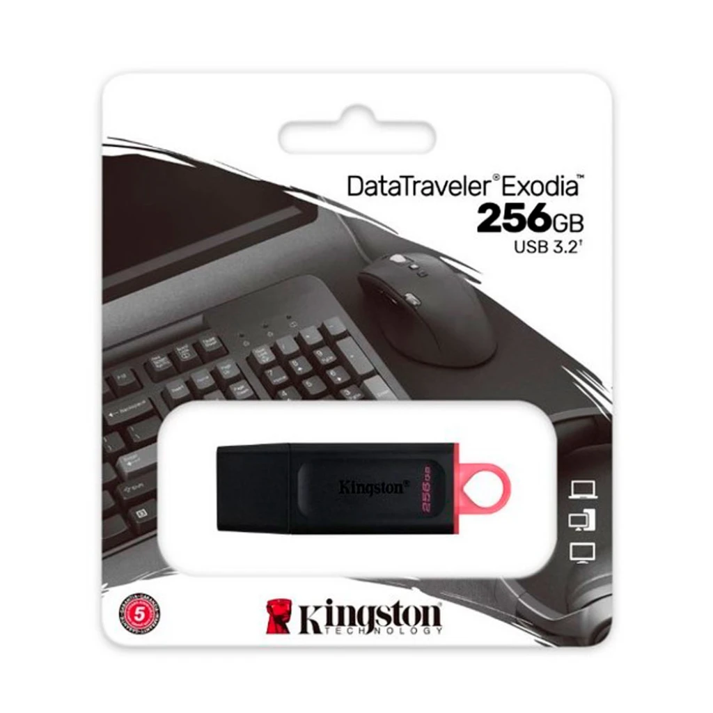 memoria USB kingston 256gb